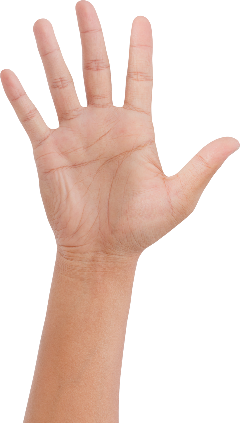 Open Palm Hand